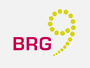 BRG 9 Logo (klein)